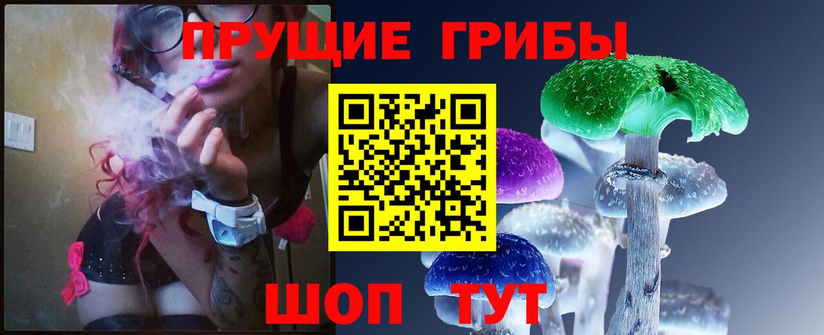 Галлюциногенные грибы прущие грибы Орехово-Зуево